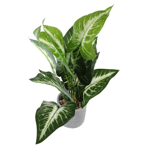 EPIGEIST ?^~ AV~[V ϗtA ჁeiX CeA rO Q ItBXplHO[