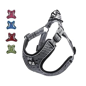 Suredoo Arnés Perro Reflectante Ajustable, Arnés Antitirones Suave Acolchado Cómodo Transpirable Arnés Chaleco para Cachorros Perros Pequeños Mediano (S, Gris)