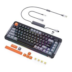 L75 Wireless Mechanical Keyboard, Hot-swappable Wired/Bluetooth 5.0/2.4G Wireless Keyboard with RGB Backlit for Windows & Mac, PBT Keycaps, Gateron Yellow Switch Pro, Charcoal Gray