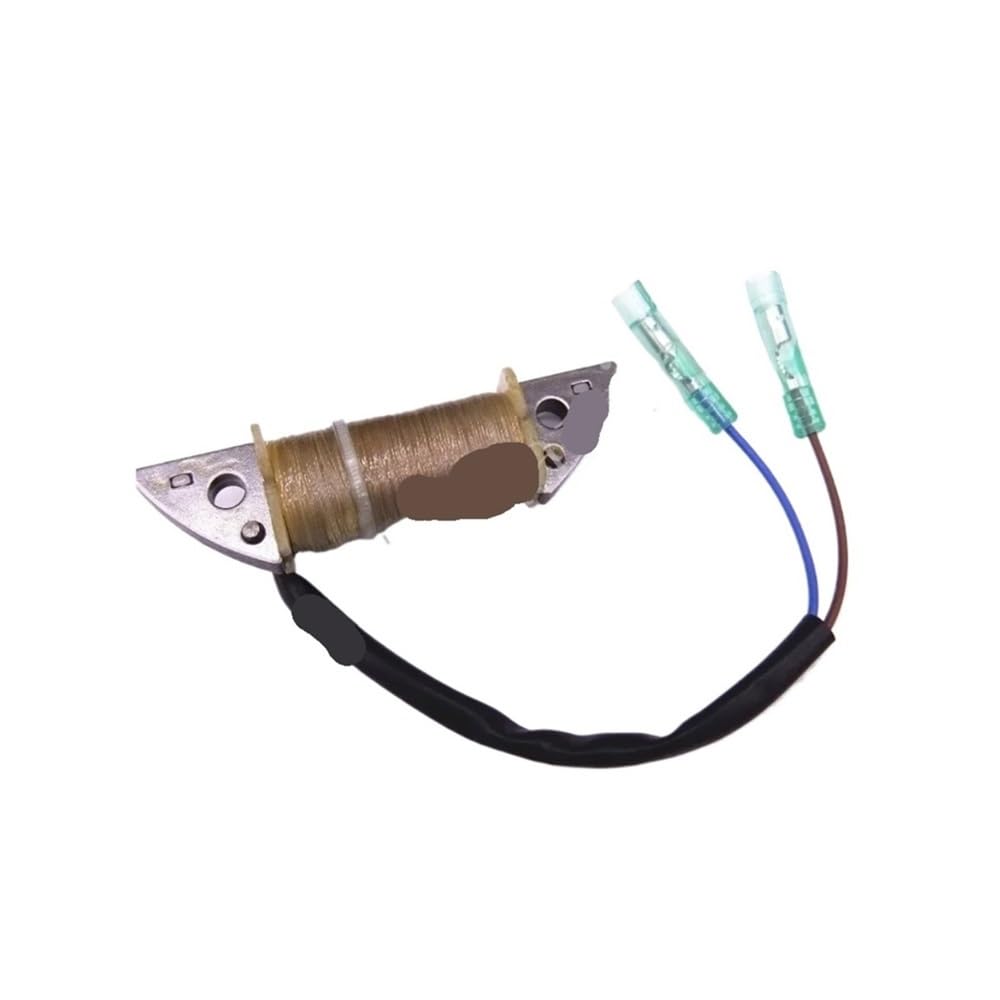 Bobine de moteur de bateau hors-bord 2 temps TE15 TE9.9