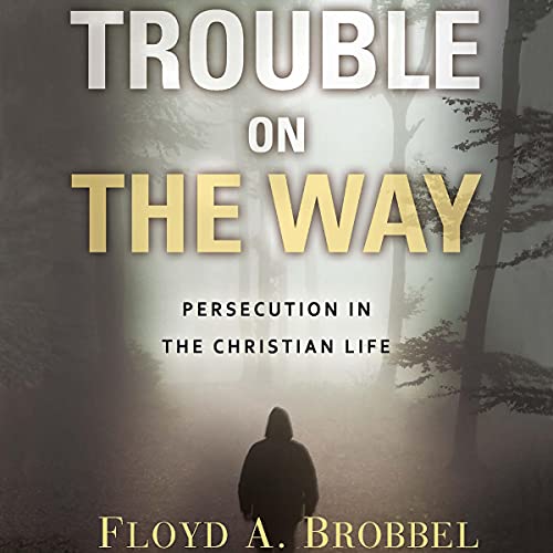 Trouble on the Way by Brobbel A. Floyd episode artwork