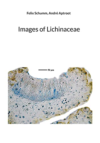 Images of Lichinaceae (English Edition)