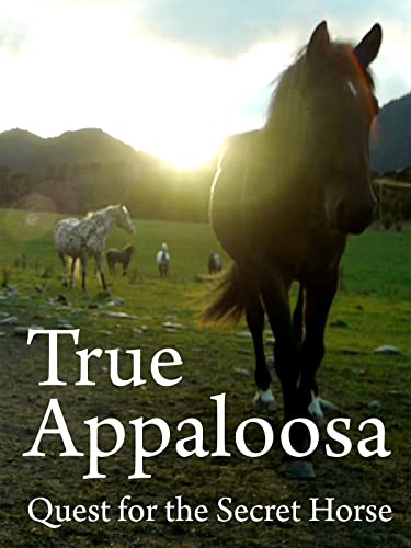 True Appaloosa