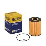 Hengst E113H D235 Oil Filter
