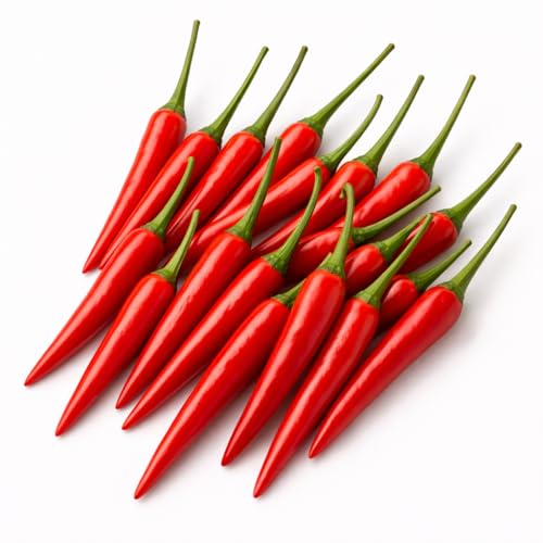 Frische Birds Eye Chilis Thai Chili rot ganze Chilischoten Rawit sehr scharf und fruchtig (Rot...