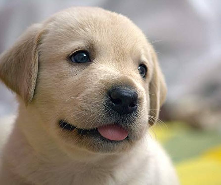 ジョンヒョン 写真集 写真、マウスパッド ジョンヒョン 写真集 写真、マウスパッド ジョンヒョン 写真集