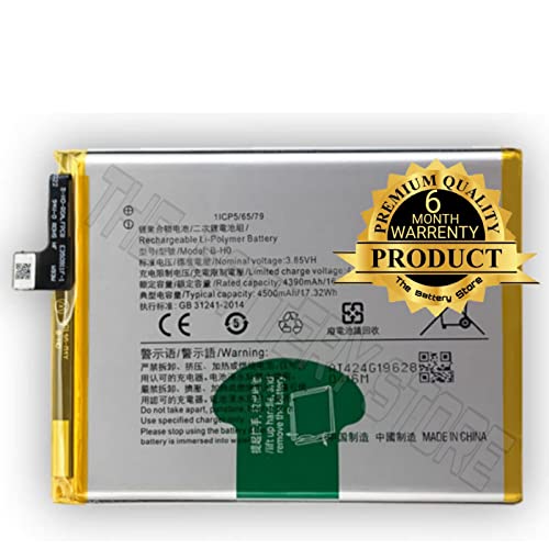 Image of THE BATTERY STORE Orignal Battery (B-H0) for Vivo S1 / Vivo V17 Neo /Vivo V1913 Battery with 6 Month's Warranty and Full Battery Backup (for VIVO B-H0)