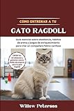 gato ragdoll adopcion  Cómo entrenar a tu gato Ragdoll: Guía esencial sobre obediencia, hábitos de arena y juegos de enriquecimiento para criar un compañero felino cariñoso