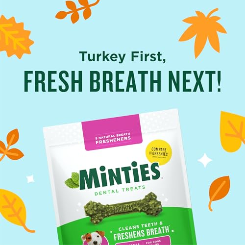 Minties Dog Dental Bone Treats, Tiny/Small Dental Dog Treats, 16 Ounces, Cleans Teeth, Fight Bad Breath, Removes Plaque and Tartar, 16 Count #1