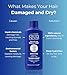 Nisim NewHair BioFactors Shampoo for Normal to Oily Hair – Deep Cleansing Formula, Ideal for Daily Use Unisex 2 Ounce (60ml)