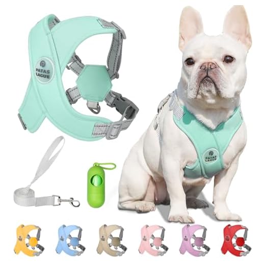 Patas Lague Dog Harness with Leash Set Adjustable Soft Padded Step-in Dog Vest No Choke No Pull Reflective for Small Medium Dogs with Poop Bags and Dispenser, Solid and No-chew, Green S