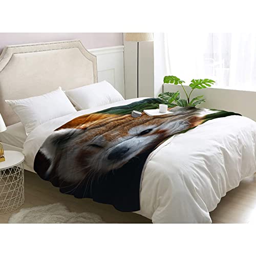 Couvertures et plaids pour canape lit flanelle 270 GSM
