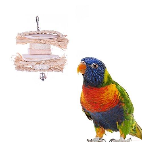 Pet Bird Chew Toys Parrot Natural Cuttlefish Bone Luffa Twisted String #TOP1