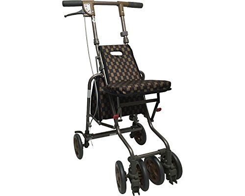 Tj[EH[J[AW-V BuE (쏊) (Vo[J[)