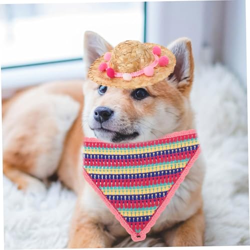 Chapeau de soleil pour chien protégeant les yeux des animaux en été - 8