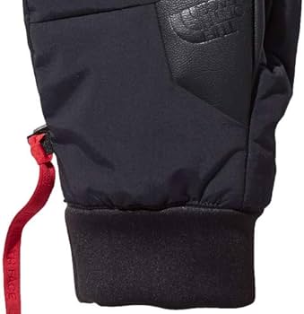 ザ・ノース・フェイス(THE NORTH FACE) フェイキーミット(Fakie Mitt) NN61715