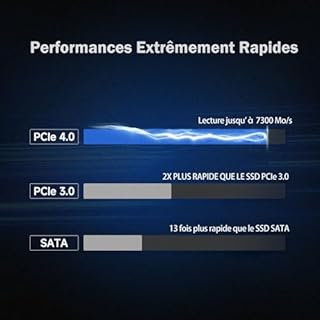 fanxiang S880 SSD 1To NVMe SSD M.2 2280 PCIe 4.0 Gen4x4 Disque SSD Interne 1 to, Jusqu'à 7300 Mo/s en Lecture, Compatible avec PS5 PC Gaming Ordinateurs de Bureau et Portables