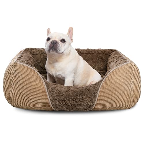 Heymamba Small Dog Bed Puppy Bed with Appearance Design of Soft Corn Kernels for Corgi/French Bulldog/Chihuahua/Yorkshire, Dog Bed Small Pet Bed with Breathable Fluff to Promote Sleep, 53×50×17cm