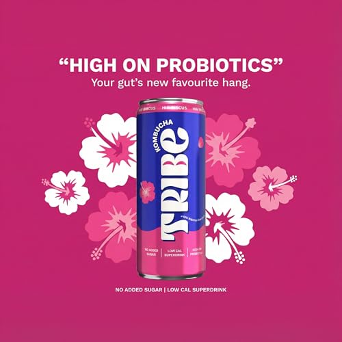 Image of Tribe Kombucha Probiotic Super Drink | Supports Gut Health | Gluten-Free | Naturally Fermented | Super Refreshing | Gut Friendly | Improves Blood Sugar | Antioxidant and Hydration | No Added Sugar | 250 ML X 6 (ZESTY GINGERADE + HIII BISCUS)