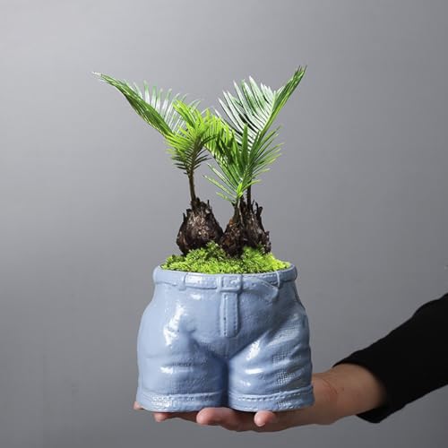 Pots de fleurs en céramique durables et décorations intérieures TUSUOD - 4