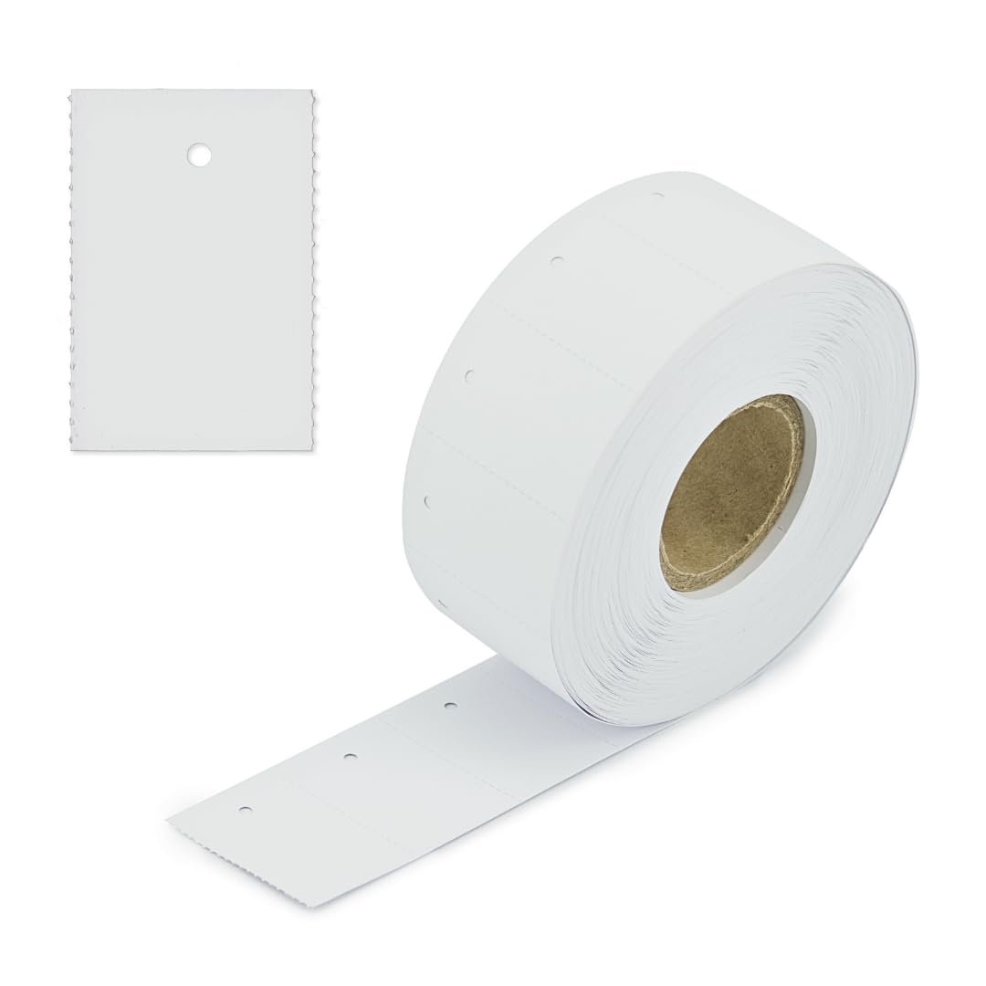 Pokornys POKORNYS etichette in cartone bianche con foro (30 x 50 mm) bianche I etichette perforate per scrivere su un rotolo I cartellini dei prezzi con (1000 pezzo, 45 x 90 mm)