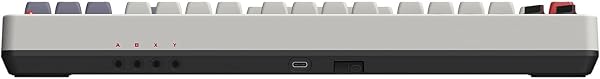 8Bitdo Retro Mechanical Keyboard, Bluetooth/2.4G/USB-C Hot Swappable Gaming Keyboard with 87 Keys, Dual Super Programmable Buttons for Windows and Android - QWERTZ German ISO Layout - 4