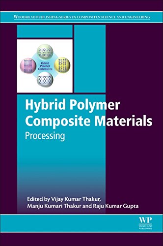 Hybrid Polymer Composite Materials: Processing view 2