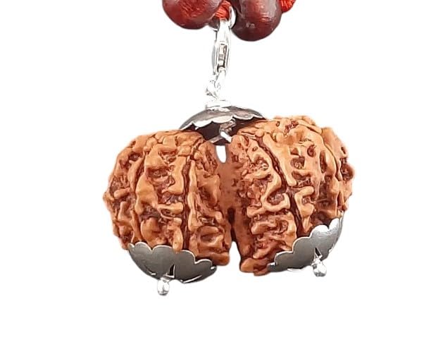Gauri Shankar Rudraksha Nepal Original Certified Pure Combined Rudraksha With Silver Pendant गौरीशंकर रुद्राक्ष Real GawriShankar Rudraksha Natural Gori Shankar Rudraksha For Locket-image-13