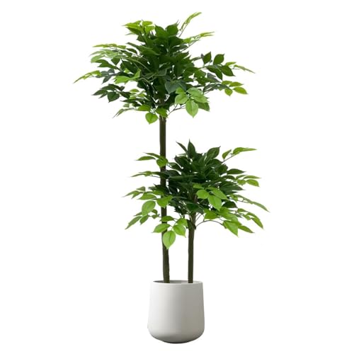 tFCNO[ lHϗtA ^ lH̍K̖ (120cm 150cm 180cm 200cm) t  CeAO[  ItBX X  U ϗt ̓ 蕨 Jj @lMtg(ےAؔ,120cn)