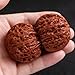 2026 New Wenwan Walnuts,Chinese Walnuts Fidget,Walnut and Massage Stress Relief Health Care Ball Toy for Stress Relief(A+B)