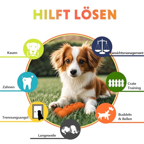 LaRoo Füllbares Hundespielzeug,Kann Mit Leckerlis Gefüllt Werden, Kauspielzeug für Hund Welpen, Naturkautschuk Kauknochen, Zahnpflege und Langsames Fressen -Für Kleine Hunde