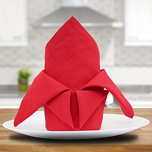 Sweet Needle Tomato Red & White Cloth Napkins 20X20 Pack Of 24, 100% Cotton Oversized Heavy Weight Dinner Napkin For Home/Wedding/Party/Cocktail Napkins/Hotel/Restaurant/Banquet/Bar/Gift/Daily Use #TOP5
