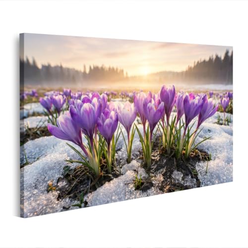 Tableau sur toile crocus lever du soleil pour illuminer un salon