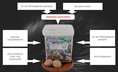 Anhaltiner Meisenknödel 30 Stück ohne Netz Vogelfutter Wildvogelfutter Meisenfutter eigene Produktion in Deutschland hergestellt
