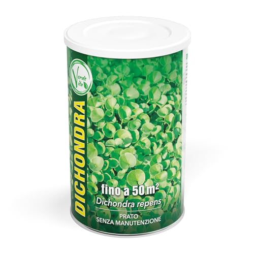 VerdeVita Semi di Dicondra Repens, Semi per Prato Senza Manutenzione, Copertura fino a 50 m², Alta Resistenza alla Siccità