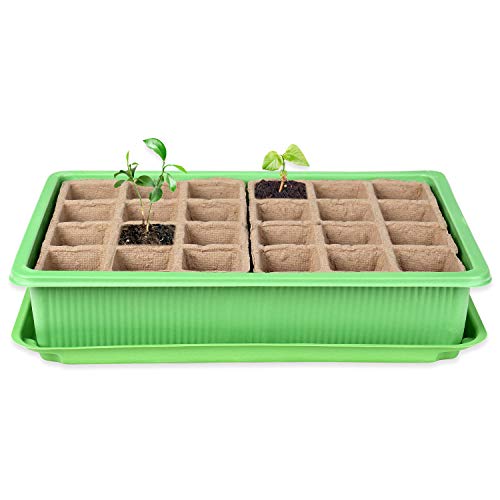 Schramm® Anzucht Set Gewächshaus Anzucht Schale Töpfe Zimmergewächshaus 27 x 19 x 11 cm für 24 Anzuchttöpfe Anzuchtset Mini-Gewächshaus