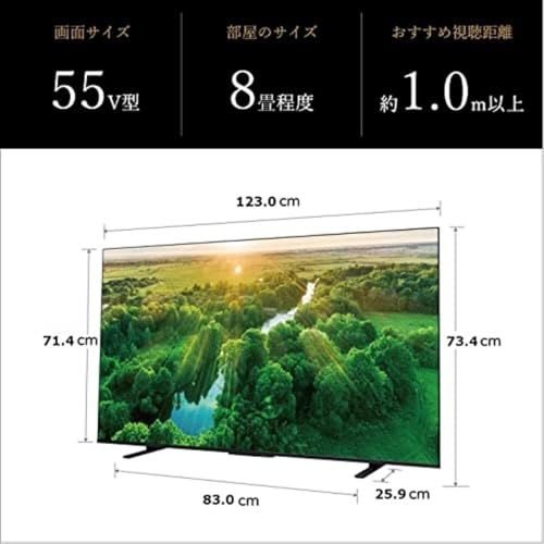 undefined 【セット買い】 レグザ 55インチ 4K液晶テレビ 55Z570L 4Kチューナー内蔵 外付けHDD 裏番組録画 スマートテレビ (2022年モデル) + IODATA SSD 外付け 1TB テレビ録画 PC対応 USB-A 小型 スティック ポータブル 全録 タイムシフトマシン【レグザ/ディーガ/Windows】USB 3.2 Gen 2 日本メーカー AVSSD-RS1/UE の商品画像 3