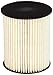 Cummins Filtration FS19855 Fuel Filter/Water Separator