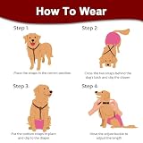 KEMUZ hundewindeln Clip hundewindel Pet Soft Hundewindel-Hosenträger,Hunde-Hosenträger, Hunde-Windelgeschirr, Hosenträger für Windeln, Damen, Welpen-Hosenträger, Bauchbänder, Haustier-Kleidung (E)