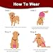 KEMUZ hundewindeln Clip hundewindel Pet Soft Hundewindel-Hosenträger,Hunde-Hosenträger, Hunde-Windelgeschirr, Hosenträger für Windeln, Damen, Welpen-Hosenträger, Bauchbänder, Haustier-Kleidung (E)