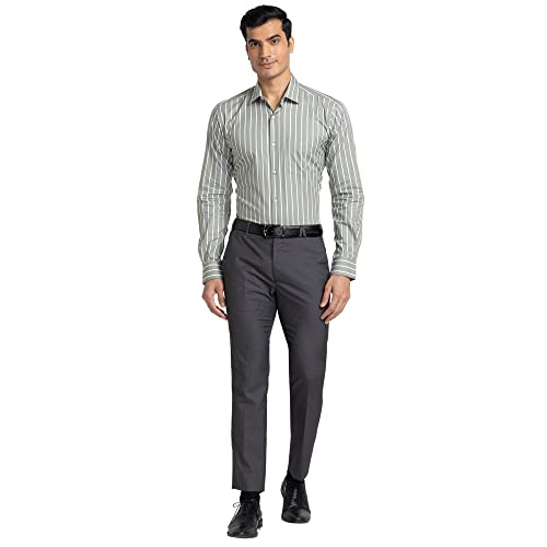 Image of Park Avenue Men's Pure Cotton Stripe Pattern Slim Fit Ainsley Collar Full Sleeve Formal Shirt