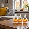 Goose Creek Holiday Cider Fragrance Oil Plug-In Refills, Orange Cinnamon Spice Scent, 0.8 FL OZ, 3 Pack #5