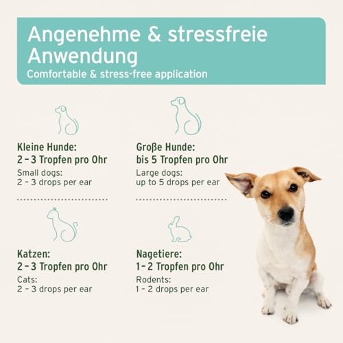 AniForte Ohrmilbenöl für Hunde, Katzen & Nagetiere 50ml – Ohrentropfen bei Juckreiz & Milben, Mittel bei Ohrmilben, Ohrenpflege & Ohrenreinigung