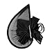 Zando 2025 Ken-tucky Derby Fascinator Hats for Women 20s Mesh Feather High Tea Hats for Women Headwear Black Fascinator Hat Women Vintage Pillbox Church Hat Ken-tucky Derby Outfits One Size
