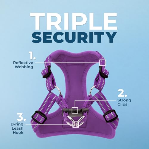 Image of Best Pet Supplies Voyager Adjustable Step-in Flex Breathable Mesh Dog Harness for Small Medium Large Dogs Leash Set (Purple), L