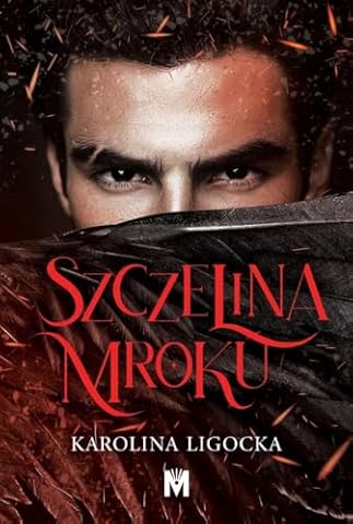 Szczelina mroku