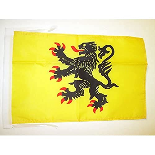 AZ FLAG, Nord-Pas-de-Calais Flag, 18'' x 12'', 100% Polyester French region of Nord-Pas-de-Calais Small Banner with Two Cords