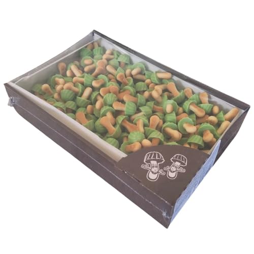 Galletas con Forma de Setas Cubiertas de Chocolate – Caja 1 kg – Mini Galletas Dulces Originales para Mesas Dulces, Regalos y Eventos – Snack Divertido para Compartir (Pistacho)