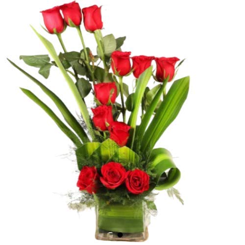 Floralbay Valentine's Day Special Fresh Flowers Glass Vase Arrangement of 12 Red Roses (Bunch of 12)
