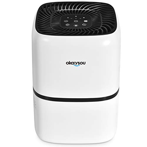 Okaysou AirMic4S Medical Grade Air Purifier for Home Allergies and Pets, Smokers, Odors